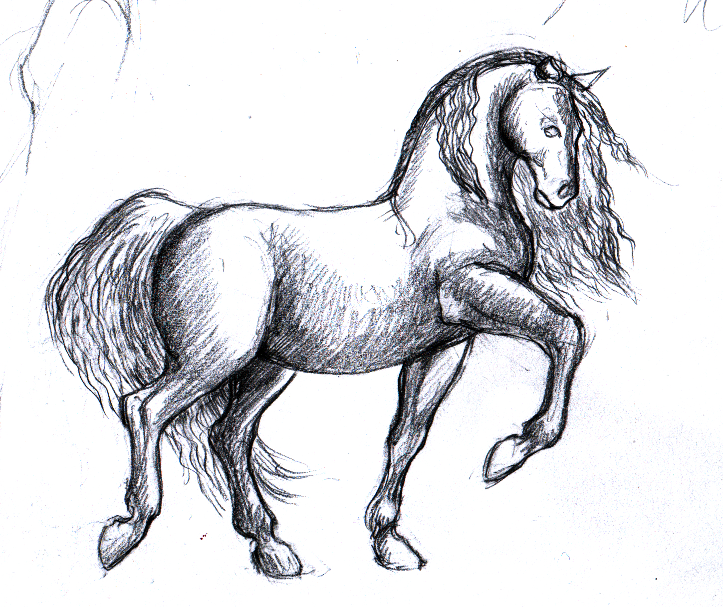 Cheval – dessins et croquis